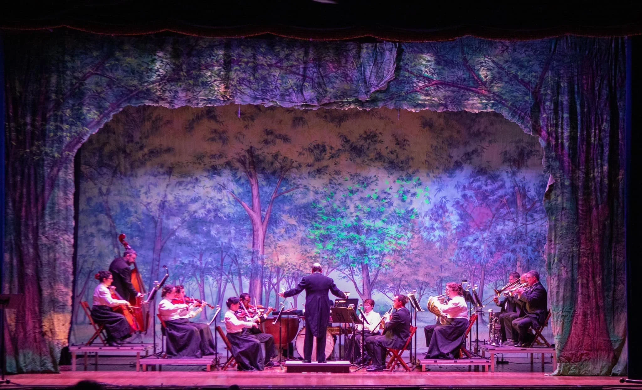 Babes in Toyland — American Musical Productions